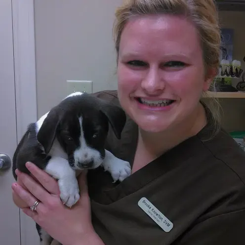 Staff member holding puppy